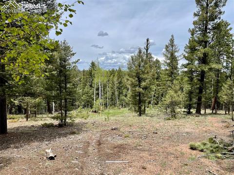 595 Ridge Rd, Divide, CO 80814 photo 10