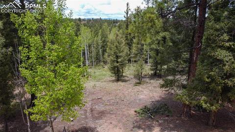 595 Ridge Rd, Divide, CO 80814 photo 1