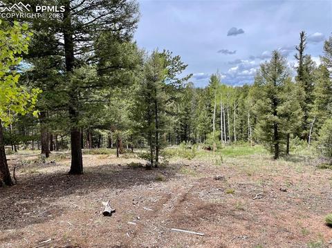 595 Ridge Rd, Divide, CO 80814 photo 11