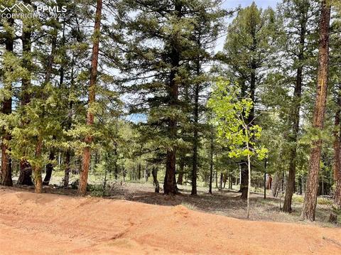 595 Ridge Rd, Divide, CO 80814 photo 9