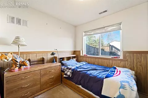 316 Raspberry Ln, Monument, CO 80132 photo 21