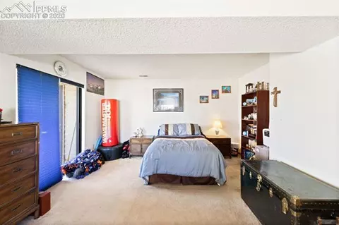 316 Raspberry Ln, Monument, CO 80132 photo 19