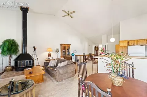 316 Raspberry Ln, Monument, CO 80132 photo 12