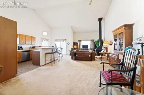316 Raspberry Ln, Monument, CO 80132 photo 7