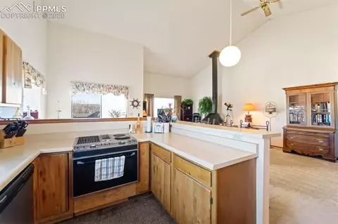 316 Raspberry Ln, Monument, CO 80132 photo 9