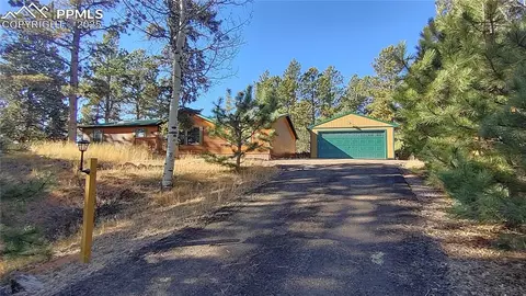 97 Shadow Lake Dr, Divide, CO 80814 photo 3