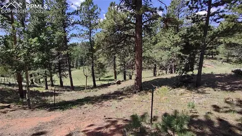 97 Shadow Lake Dr, Divide, CO 80814 photo 34