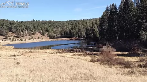 97 Shadow Lake Dr, Divide, CO 80814 photo 42