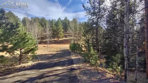 97 Shadow Lake Dr, Divide, CO 80814 photo 4