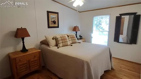 97 Shadow Lake Dr, Divide, CO 80814 photo 22