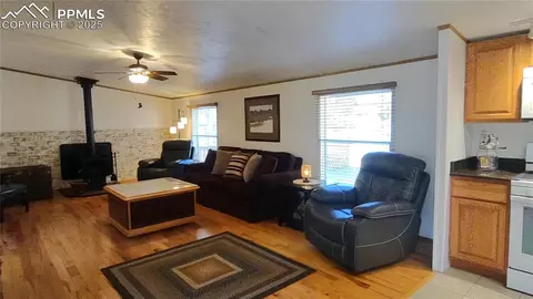 97 Shadow Lake Dr, Divide, CO 80814 photo 10