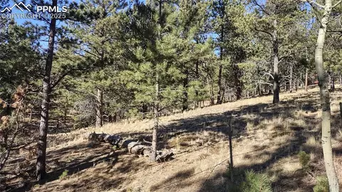 97 Shadow Lake Dr, Divide, CO 80814 photo 35