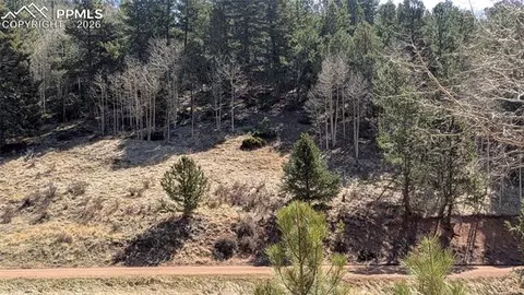 136 Valley Rd, Divide, CO 80814 photo 6