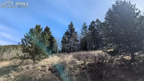 136 Valley Rd, Divide, CO 80814 photo 4