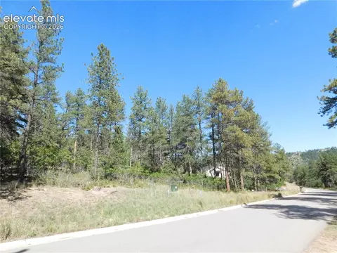 773 Copper Fox Pl, Larkspur, CO 80118