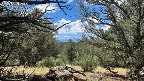 180 Shoshone Trl, Westcliffe, CO 81252