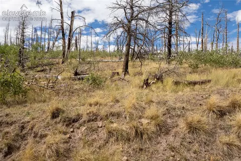 lot2748 Grojean Dr, Fort Garland, CO 81133