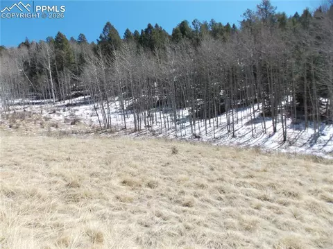 388 Grey Eagle Dr, Cripple Creek, CO 80813