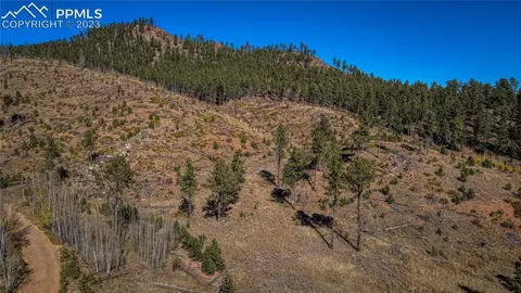 226 Valley Dr, Woodland Park, CO 80863