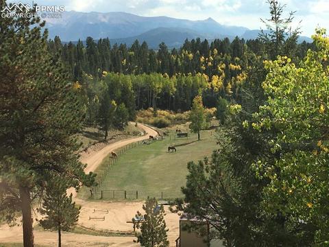 4009 County Road 5 Rd, Divide, CO 80814 photo 46