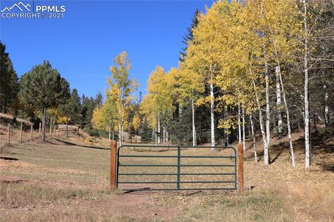 4009 County Road 5 Rd, Divide, CO 80814 photo 40