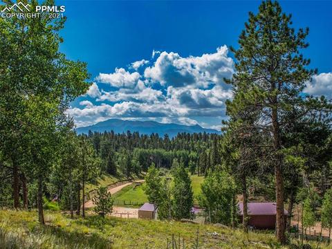 4009 County Road 5 Rd, Divide, CO 80814 photo 8