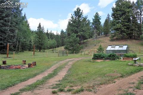4009 County Road 5 Rd, Divide, CO 80814 photo 48