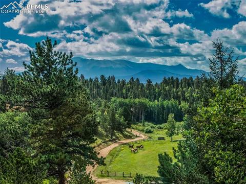 4009 County Road 5 Rd, Divide, CO 80814 photo 39