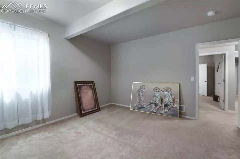 Other - 8726 Meadow Wing Cir, Colorado Springs, CO 80927 photo 13 of 15