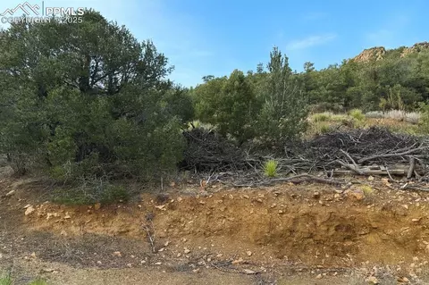 2973 Driftwood Rd, Westcliffe, CO 81252