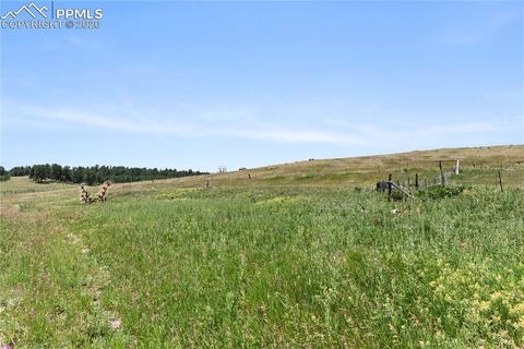 10565 E County Line Rd, Elbert, CO 80106 photo 5