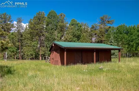67 Broken Wheel Dr, Divide, CO 80814 photo 16