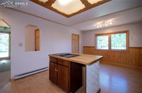 67 Broken Wheel Dr, Divide, CO 80814 photo 28