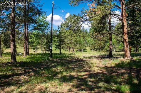 67 Broken Wheel Dr, Divide, CO 80814 photo 25