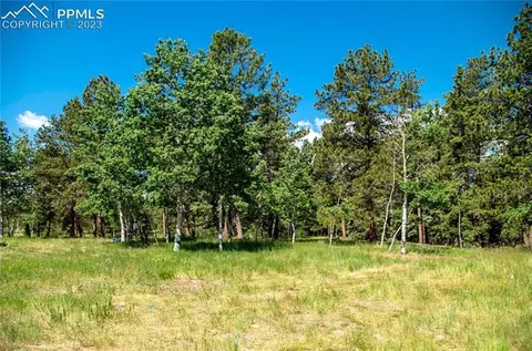 67 Broken Wheel Dr, Divide, CO 80814 photo 24