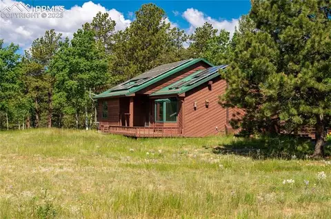 67 Broken Wheel Dr, Divide, CO 80814 photo 3