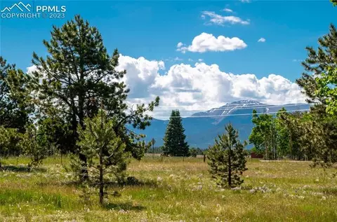 67 Broken Wheel Dr, Divide, CO 80814 photo 23