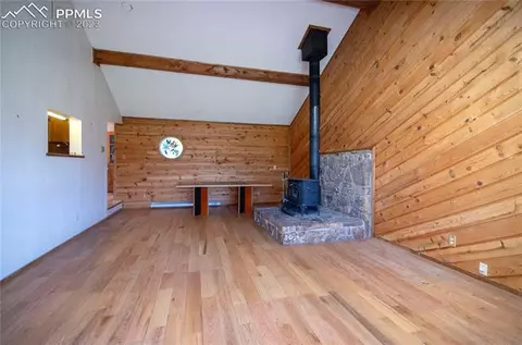 67 Broken Wheel Dr, Divide, CO 80814 photo 30