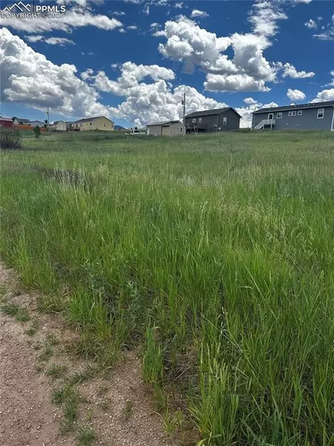 1298 Will Scarlet Dr, Divide, CO 80814