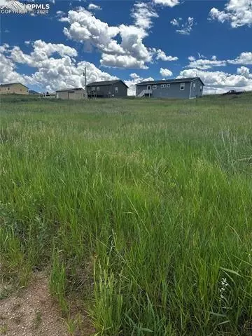 1298 Will Scarlet Dr, Divide, CO 80814 photo 2