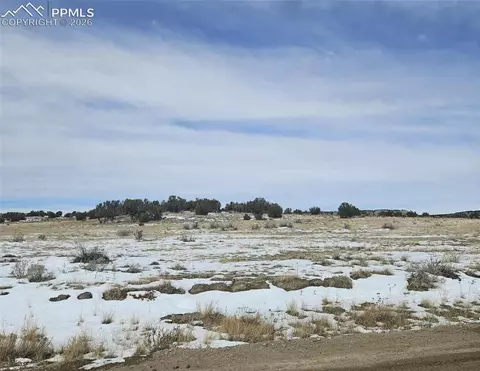 00 County Road 939, Model, CO 81059 photo 1