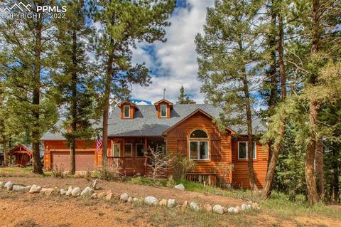 4053 Omer Ln, Divide, CO 80814 photo 1