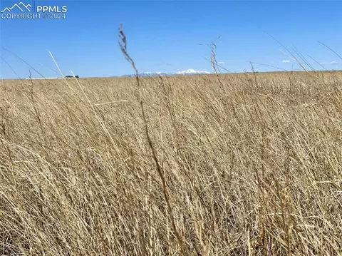 County Road 3, Rush, CO 80833 photo 8