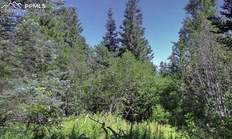 10364 Linger Longer Ln, Rye, CO 81069 photo 28