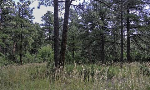 10364 Linger Longer Ln, Rye, CO 81069 photo 30