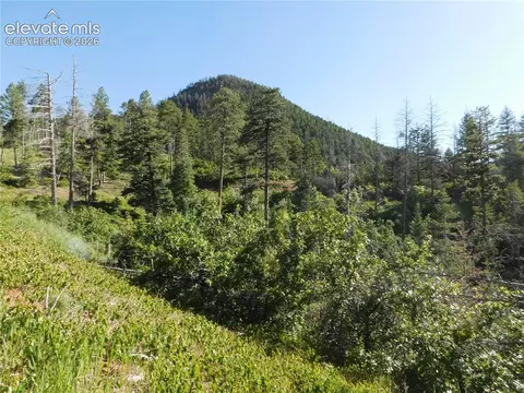 lot11 Cheyenne Dr, Larkspur, CO 80118