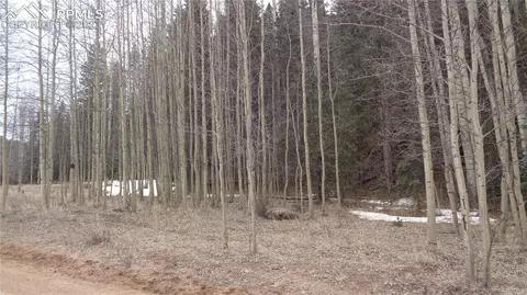 2270 Anges Dr, Cripple Creek, CO 80813
