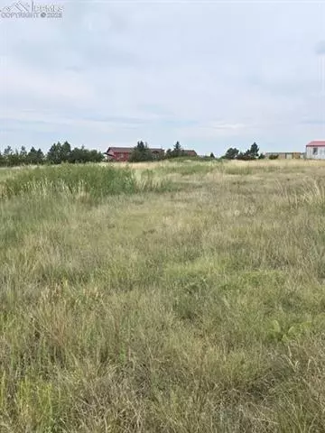 17460 Sage Crest Rd, Peyton, CO 80831 photo 5