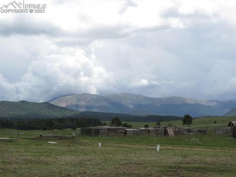 404 Doublet Ln, Divide, CO 80814 photo 3