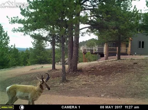 313 County Road 85 Na Na, Guffey, CO 80820 photo 49
